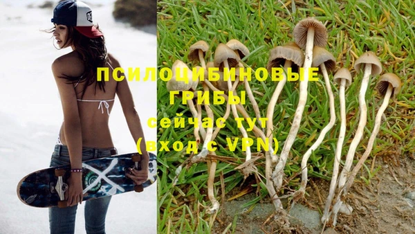 альфа пвп Каменка