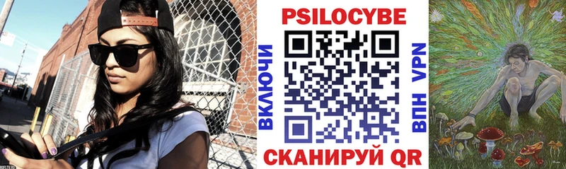 Купить где  Гай  Галлюциногенные грибы Psilocybine cubensis 